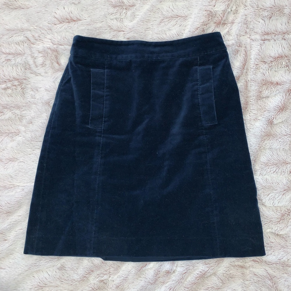 Ann Taylor Velvet Skirt
